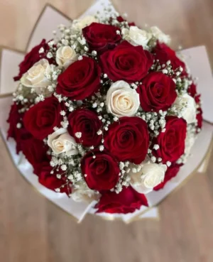 Scarlet & Ivory Love