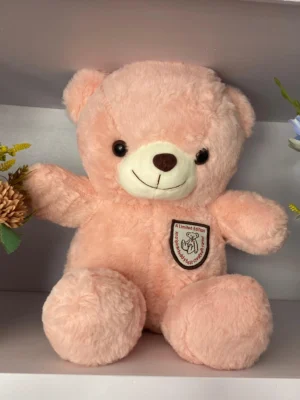 Pink Teddy